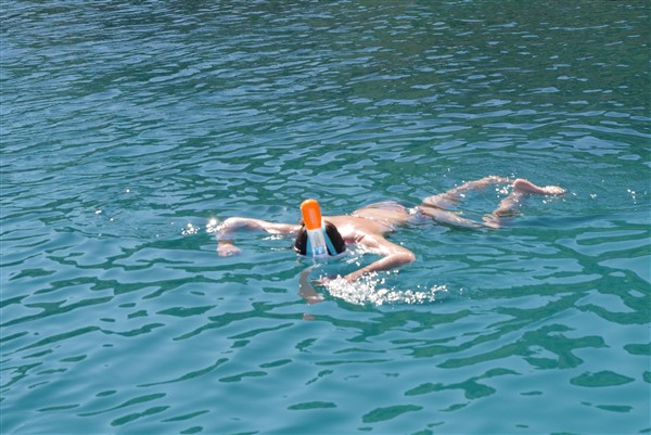 Zadar