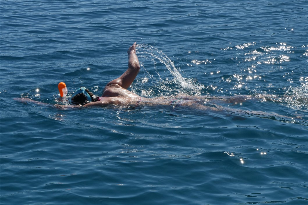 Zadar